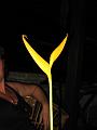 2007 07 23 BALI 045